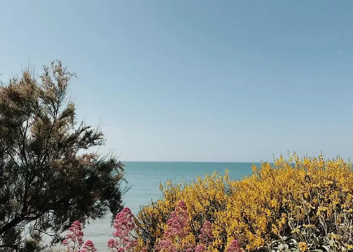 Atelier Marin La Rochelle (Charente-Maritime)